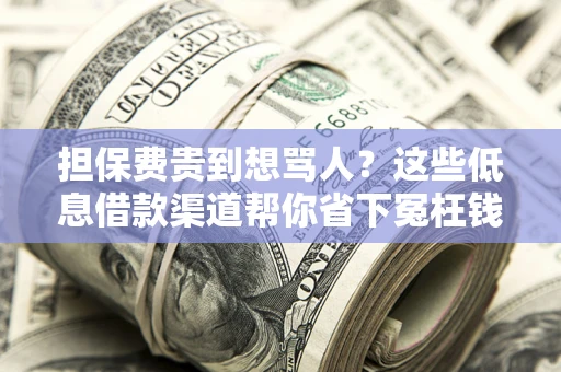 济南担保费贵到想骂人？这些低息借款渠道帮你省下冤枉钱