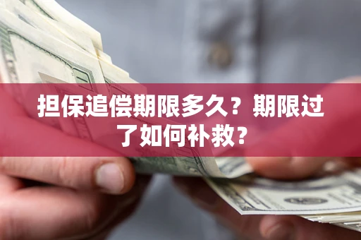 济南担保追偿期限多久？期限过了如何补救？